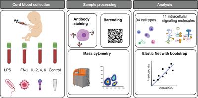 Single-Cell Analysis of the Neonatal Immune System Across the Gestational Age Continuum